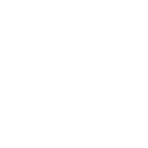 Checklist icon